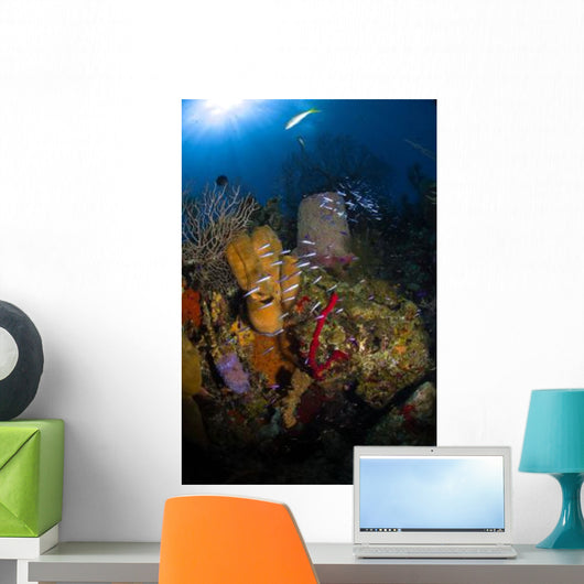 Coral and Sponge Reef Wall Decal Design 3