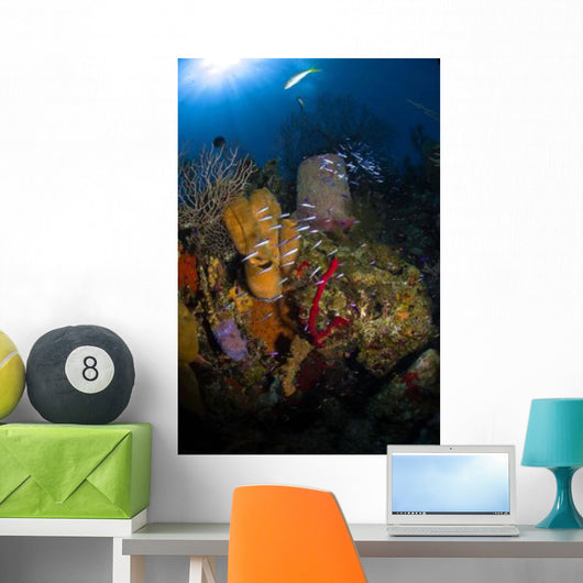 Coral and Sponge Reef Wall Decal Design 3