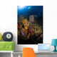 Coral and Sponge Reef Wall Decal Design 3