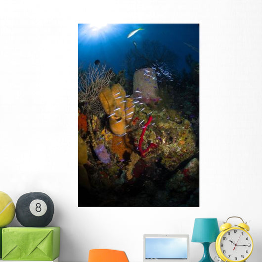 Coral and Sponge Reef Wall Decal Design 3