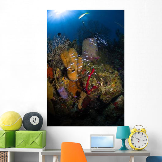 Coral and Sponge Reef Wall Decal Design 3
