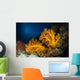 Orange Soft Coral and Wall Decal