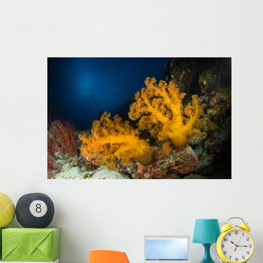 Orange Soft Coral and Wall Decal