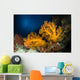 Orange Soft Coral and Wall Decal