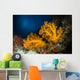 Orange Soft Coral and Wall Decal