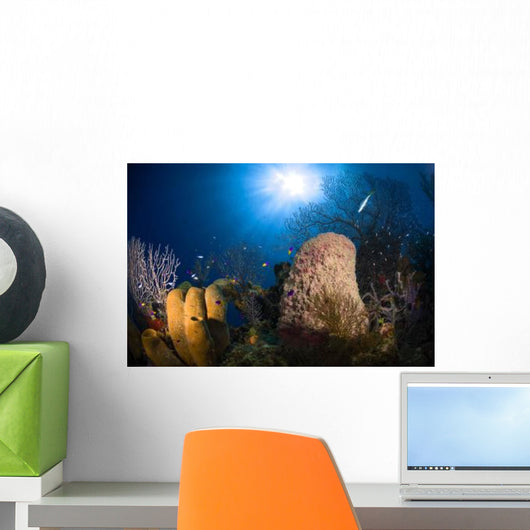 Coral and Sponge Reef Wall Decal Design 2