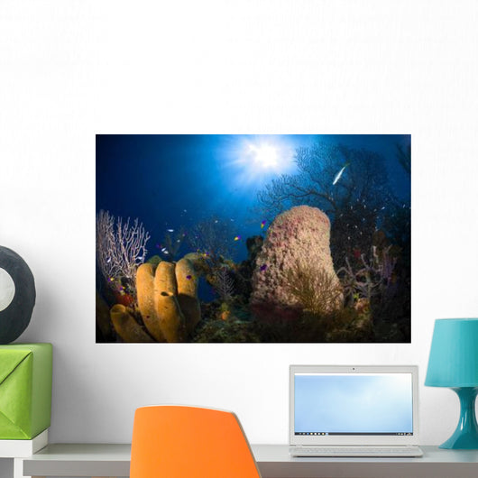 Coral and Sponge Reef Wall Decal Design 2