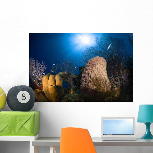 Coral and Sponge Reef Wall Decal Design 2