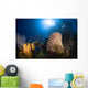 Coral and Sponge Reef Wall Decal Design 2