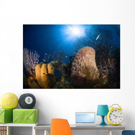 Coral and Sponge Reef Wall Decal Design 2
