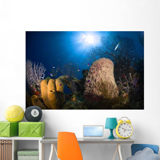 Coral and Sponge Reef Wall Decal Design 2