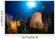 Coral and Sponge Reef Wall Decal Design 2