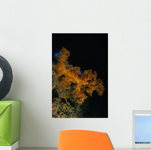Soft Coral Seascape Fiji Wall Decal Design 3