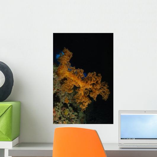 Soft Coral Seascape Fiji Wall Decal Design 3