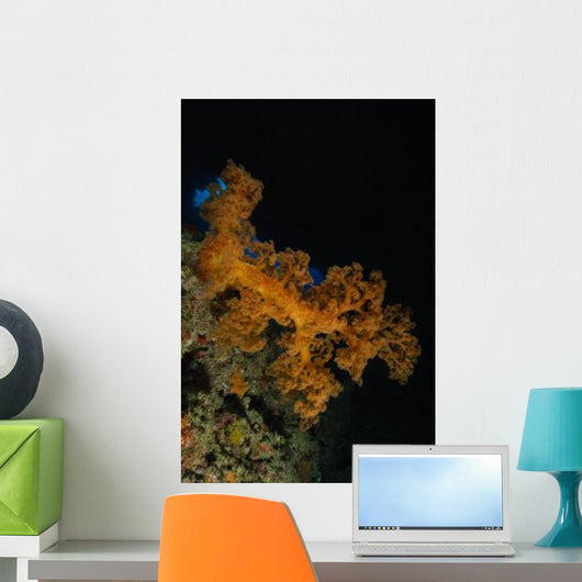 Soft Coral Seascape Fiji Wall Decal Design 3