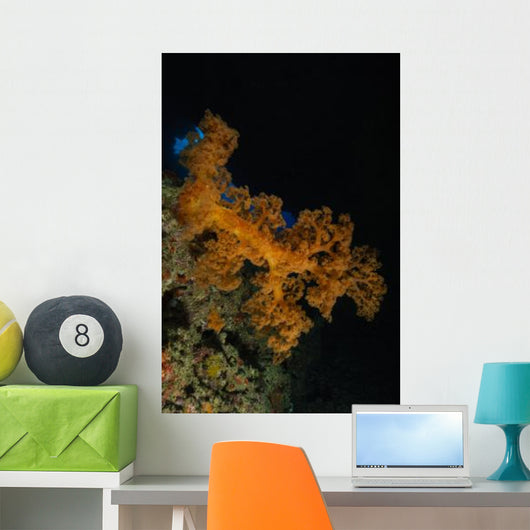 Soft Coral Seascape Fiji Wall Decal Design 3