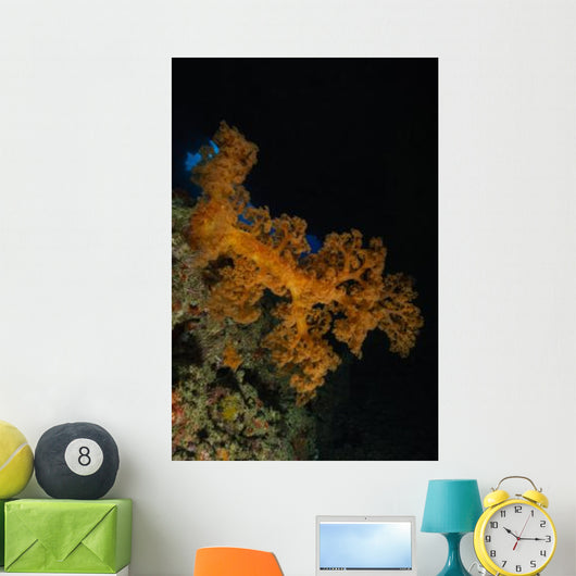 Soft Coral Seascape Fiji Wall Decal Design 3