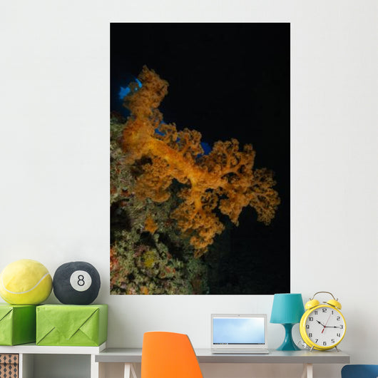 Soft Coral Seascape Fiji Wall Decal Design 3