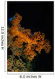 Soft Coral Seascape Fiji Wall Decal Design 3