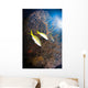 Yellowtail Snappers and Sea Wall Decal