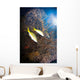 Yellowtail Snappers and Sea Wall Decal