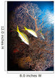 Yellowtail Snappers and Sea Wall Decal