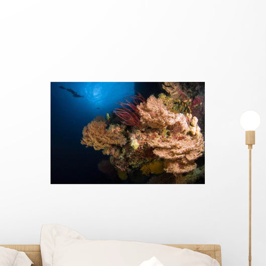 Sea Fans and Sea Wall Decal Design 1