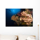 Sea Fans and Sea Wall Decal Design 1