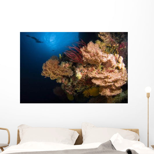 Sea Fans and Sea Wall Decal Design 1