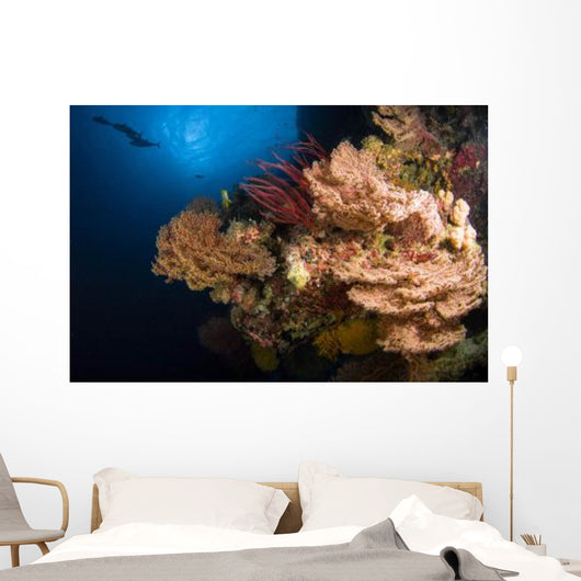 Sea Fans and Sea Wall Decal Design 1