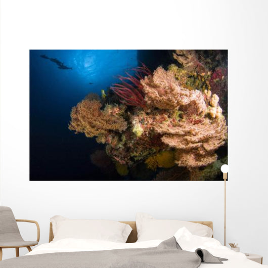 Sea Fans and Sea Wall Decal Design 1