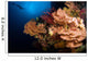 Sea Fans and Sea Wall Decal Design 1