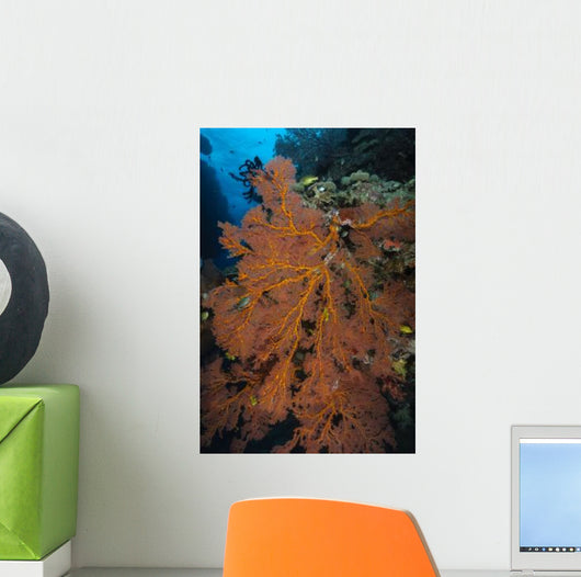 Sea Fan Fiji Wall Decal