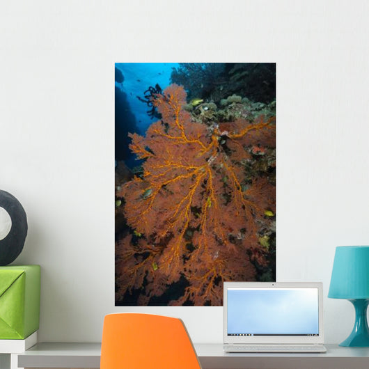 Sea Fan Fiji Wall Decal