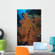 Sea Fan Fiji Wall Decal