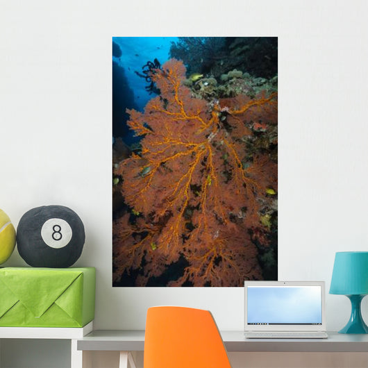Sea Fan Fiji Wall Decal
