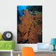 Sea Fan Fiji Wall Decal