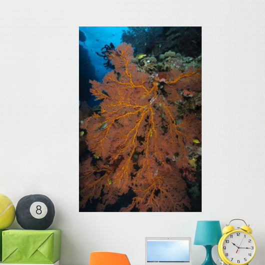 Sea Fan Fiji Wall Decal