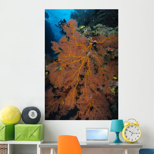 Sea Fan Fiji Wall Decal