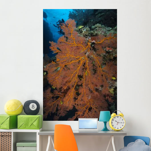 Sea Fan Fiji Wall Decal