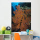Sea Fan Fiji Wall Decal