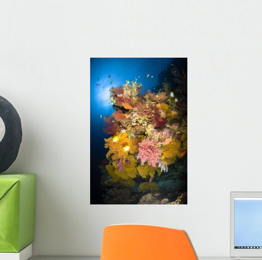 Coral Reef Seascape Australia Wall Decal