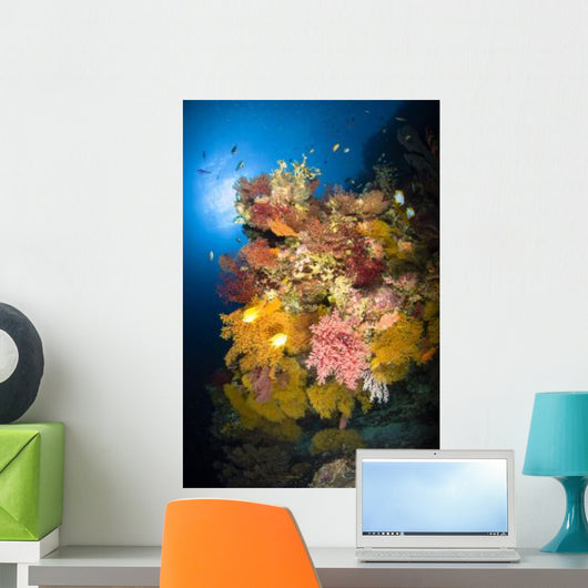 Coral Reef Seascape Australia Wall Decal