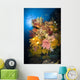 Coral Reef Seascape Australia Wall Decal