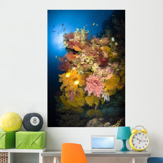 Coral Reef Seascape Australia Wall Decal