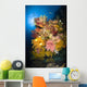 Coral Reef Seascape Australia Wall Decal
