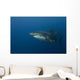 Female Great White Shark Wall Decal Design 2