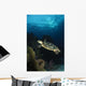 Hawksbill Sea Turtle Swimming Wall Decal