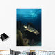 Hawksbill Sea Turtle Swimming Wall Decal