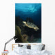 Hawksbill Sea Turtle Swimming Wall Decal